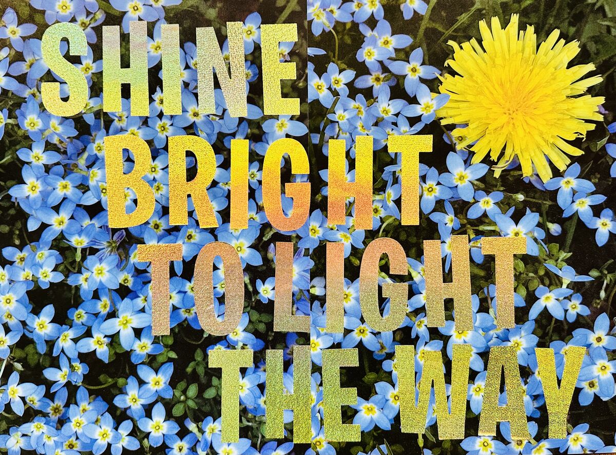 If You Want to Sing Out, Sing Out, image 6 of 9