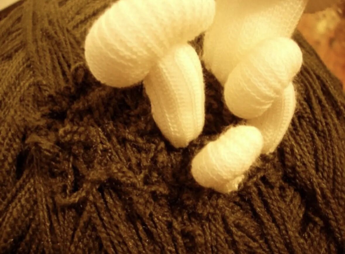 Meiosis, image 2 of 5